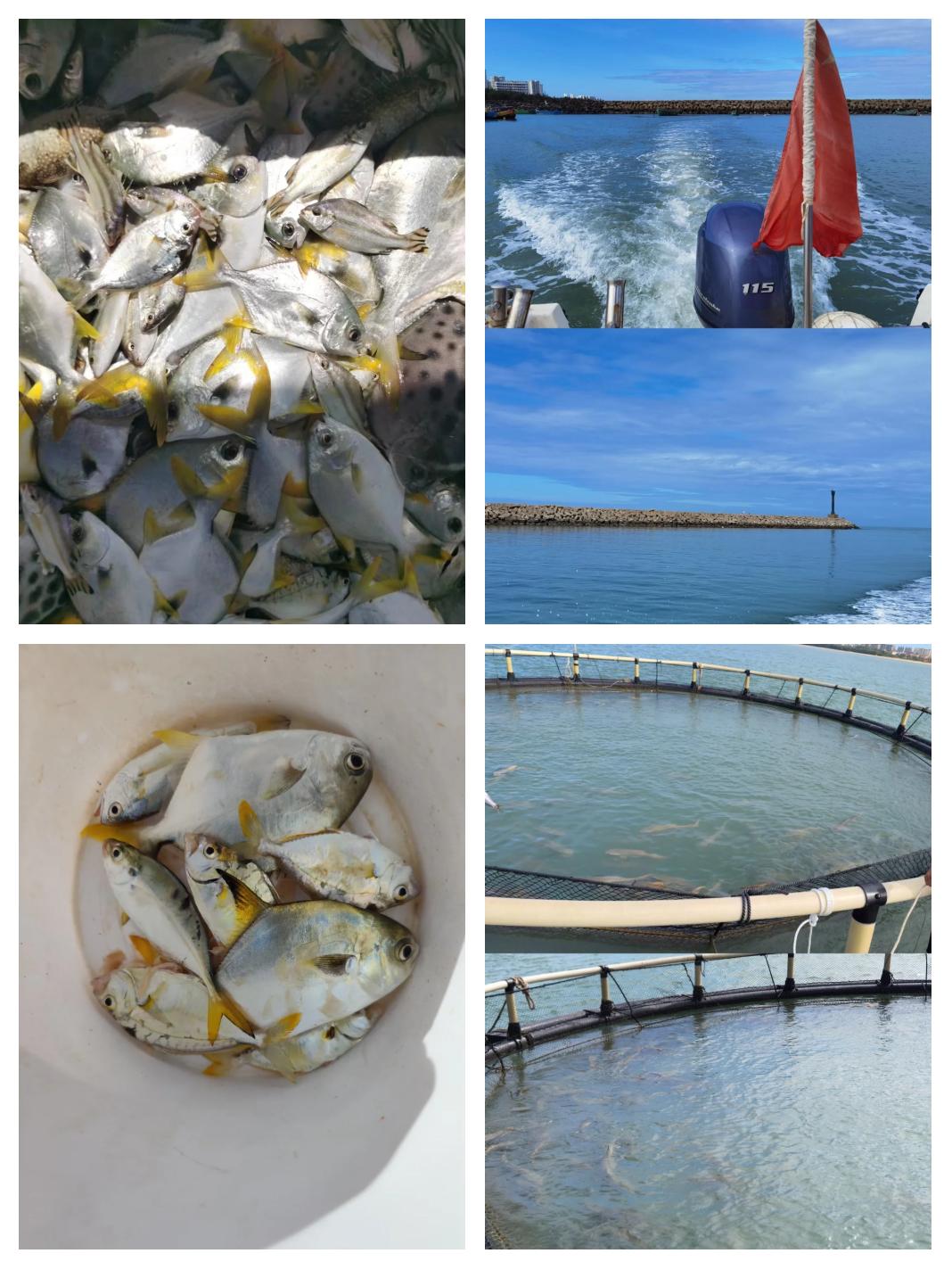 海口文昌海钓(海南文昌海钓俱乐部)
