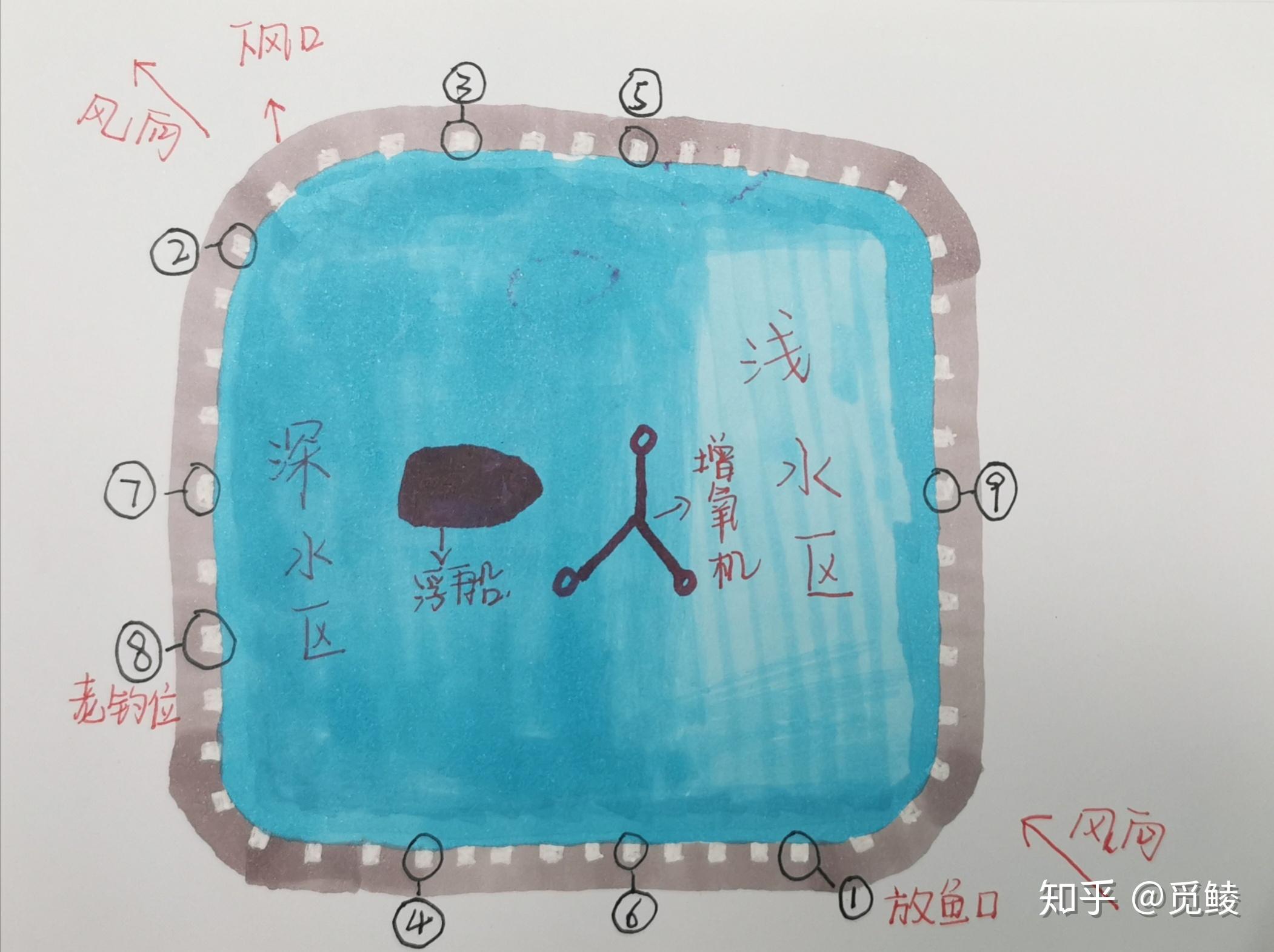 黑坑钓位选择技巧(黑坑钓位选择技巧和方法)