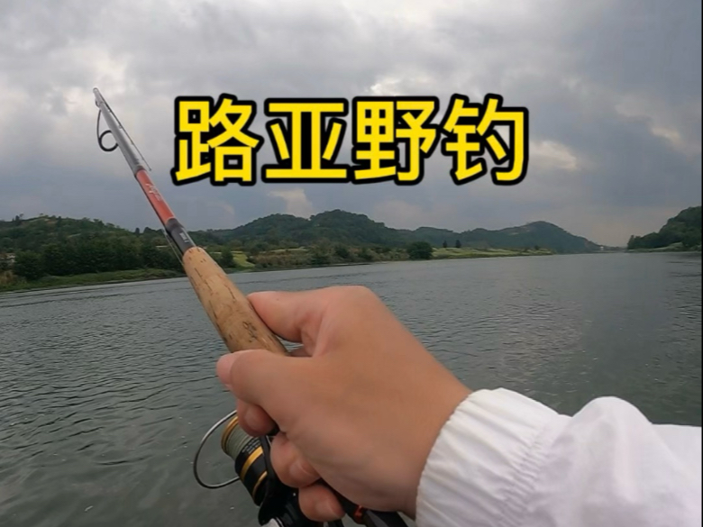 路亚上线(路亚上线线绑法)