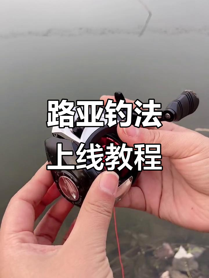 路亚上线(路亚上线线绑法)