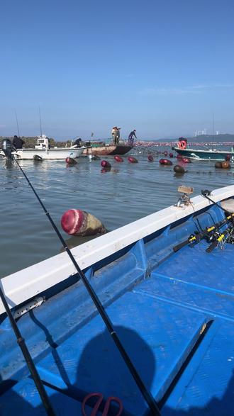 海钓浮水打窝(海钓浮水打窝技巧)