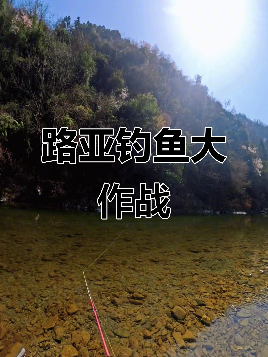 双流哪里能野钓路亚(双流路亚野钓地方)