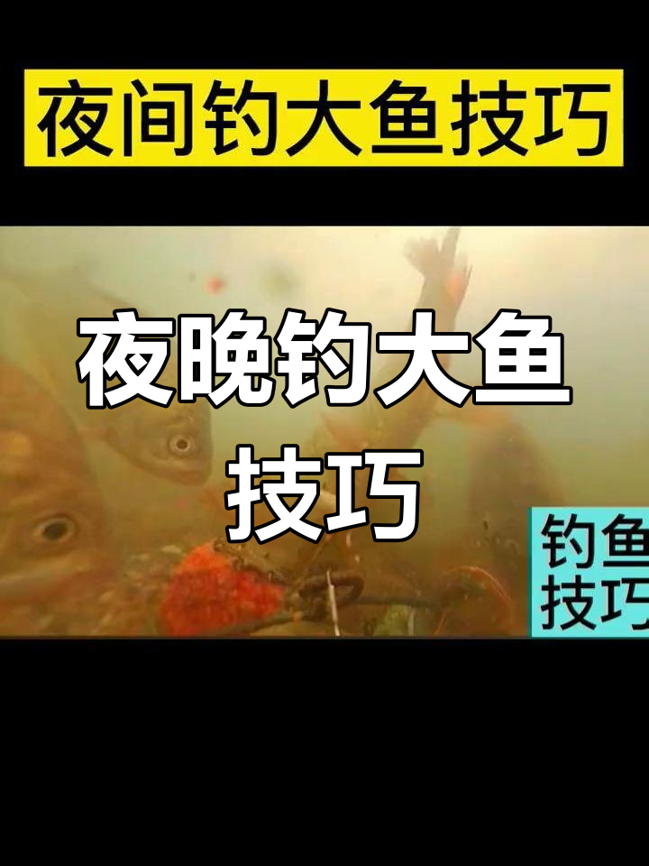 东莞东江秋季钓鱼技巧(东莞东江哪里可以野钓)