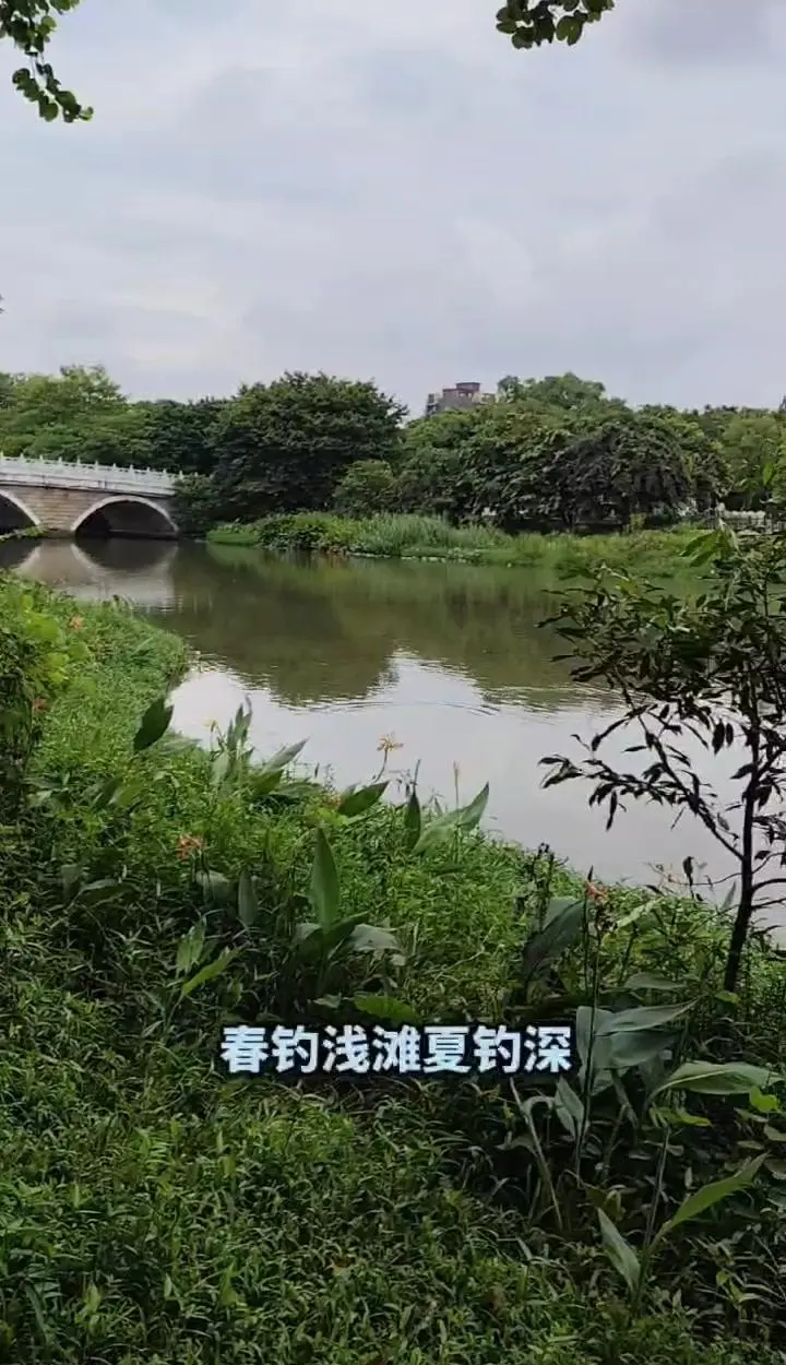 东莞东江秋季钓鱼技巧(东莞东江哪里可以野钓)