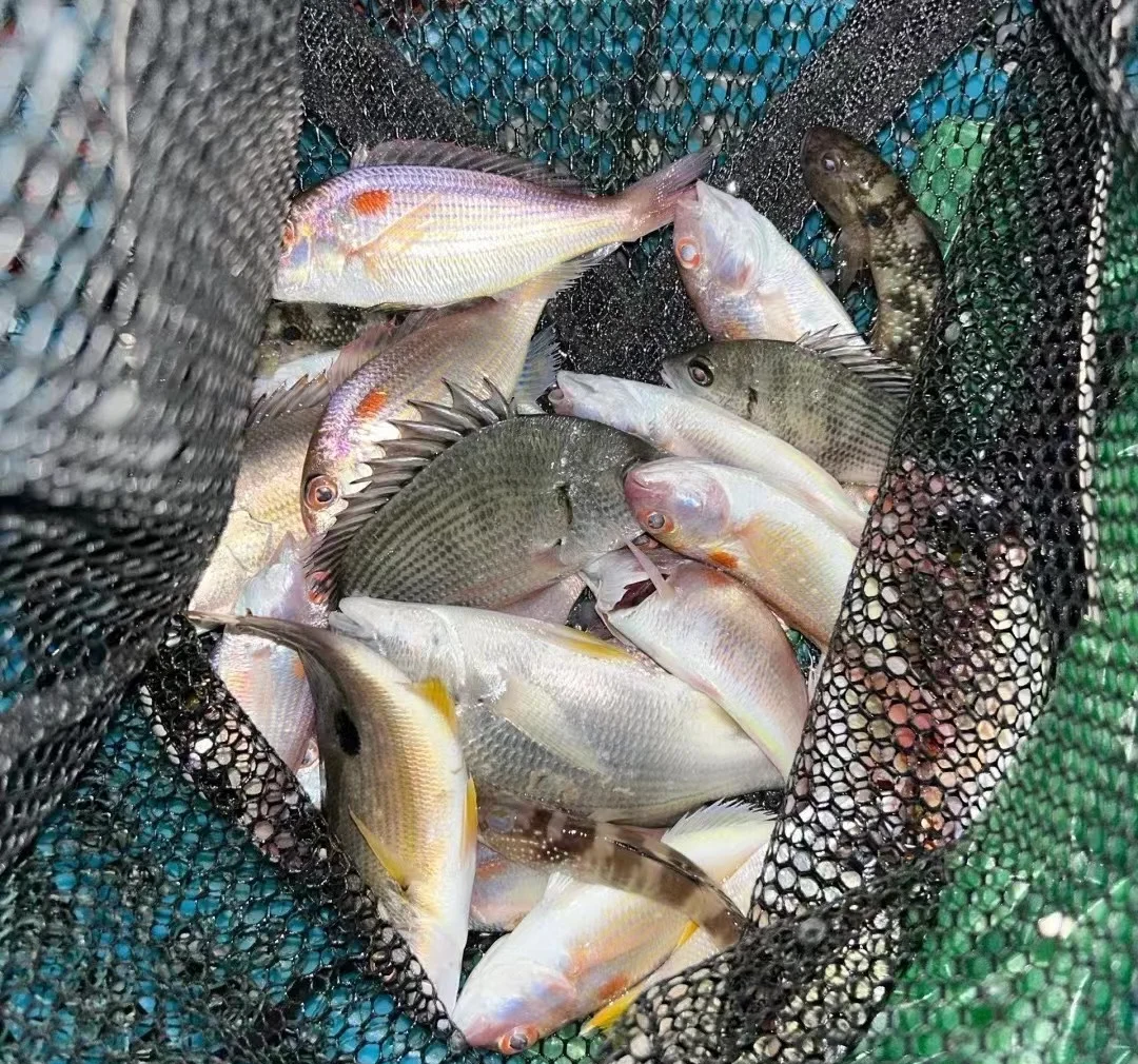 辽宁周边海钓(辽宁能钓鱼的度假村)