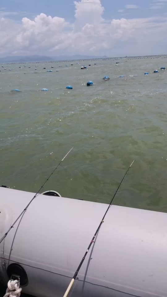 出海钓鱼看天气(出海打鱼天气预报哪个软件准确)