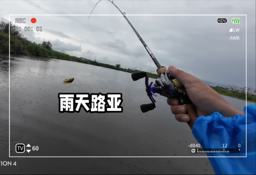 下雨天好路亚(下雨天好路亚鳜鱼吗)