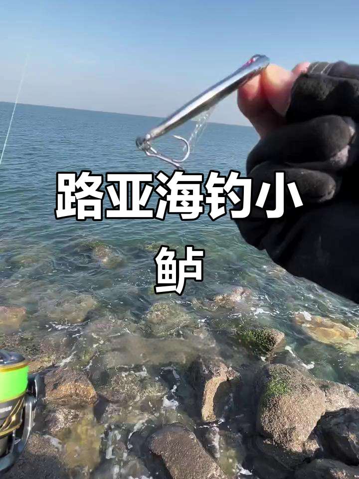 秋天路亚海鲈技术(秋季路亚鲈鱼技巧)