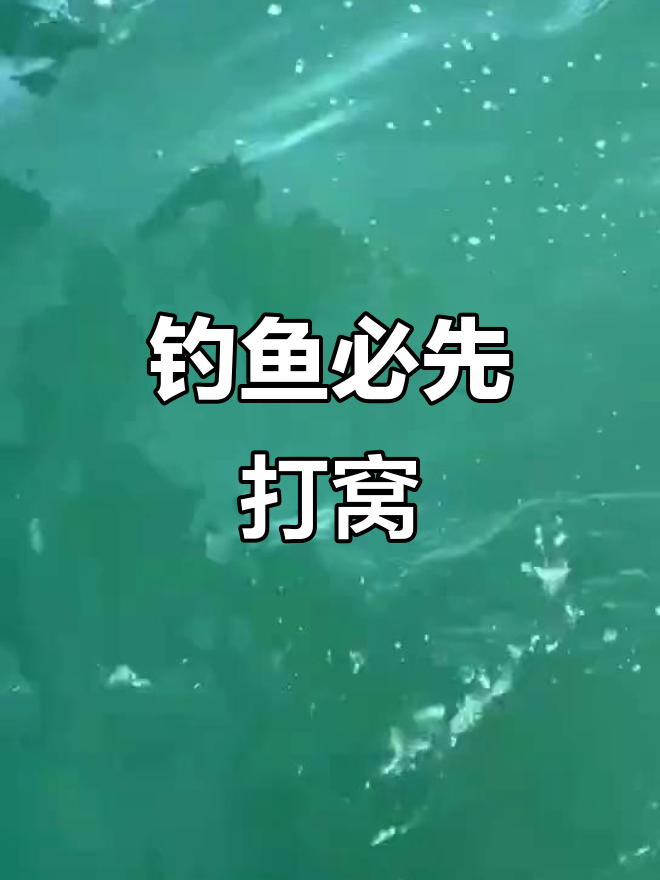 海钓鲷打窝技巧(钓鲷鱼用什么饵料打窝)