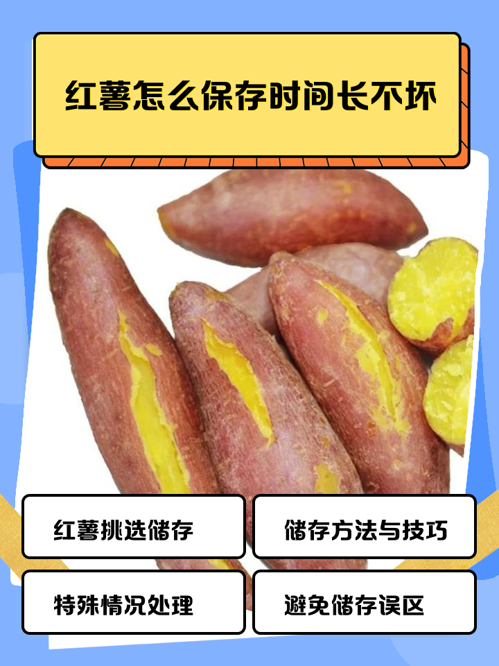 选红薯技巧(挑选红薯)