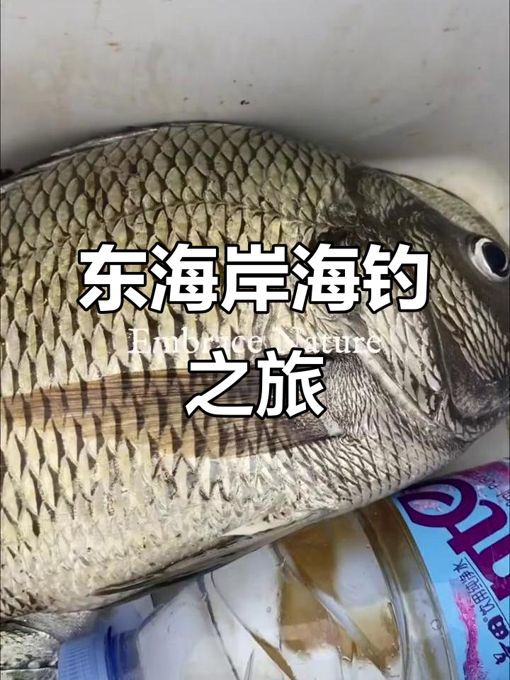 海钓的感受(海钓心得体会经验)