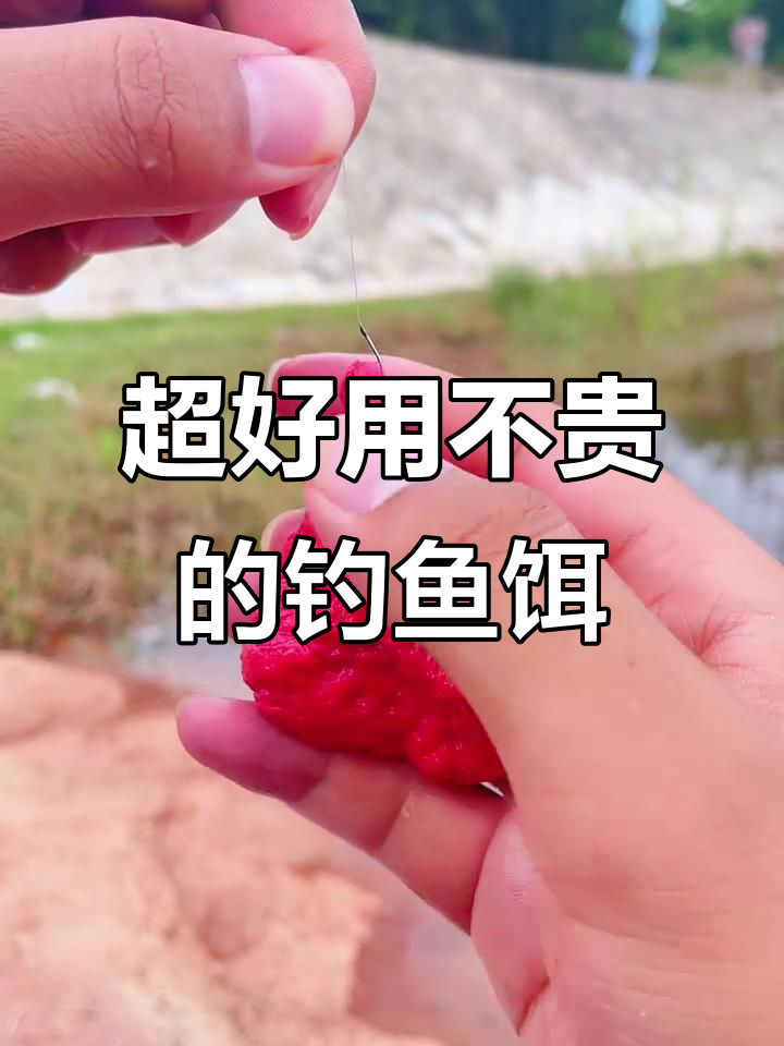 钓鱼最强饵料(钓鱼哪款饵料好用)