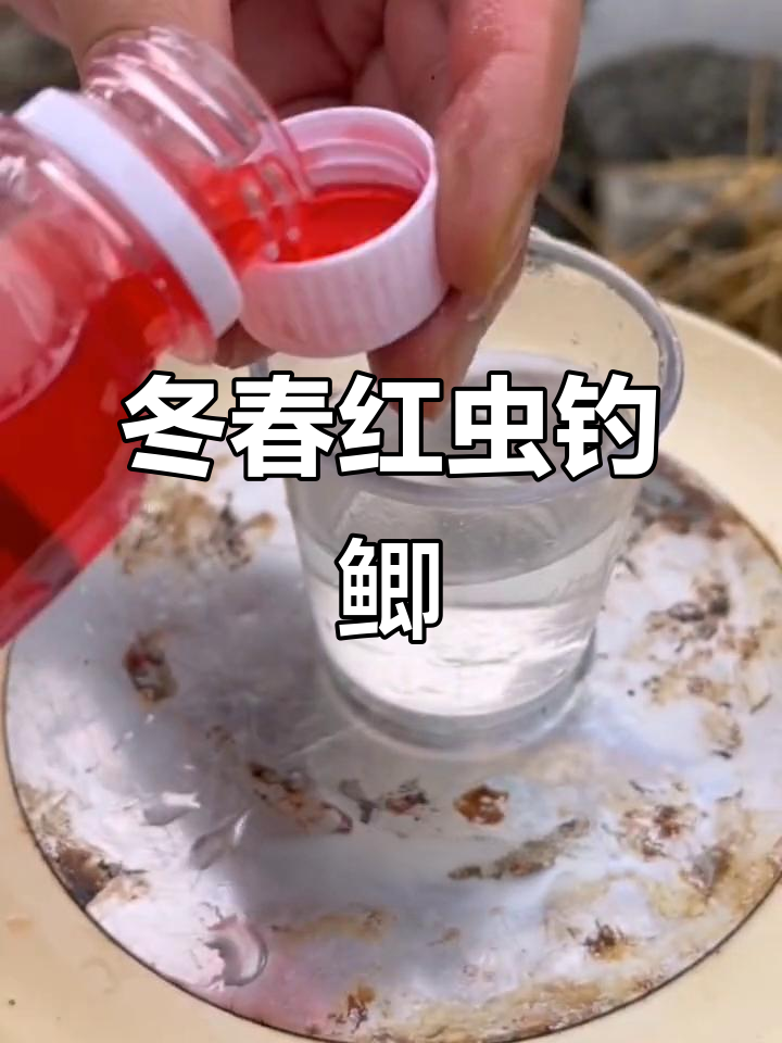 冬钓鲫鱼用红虫技巧(冬季钓鲫鱼用红虫好还是用饵料好)