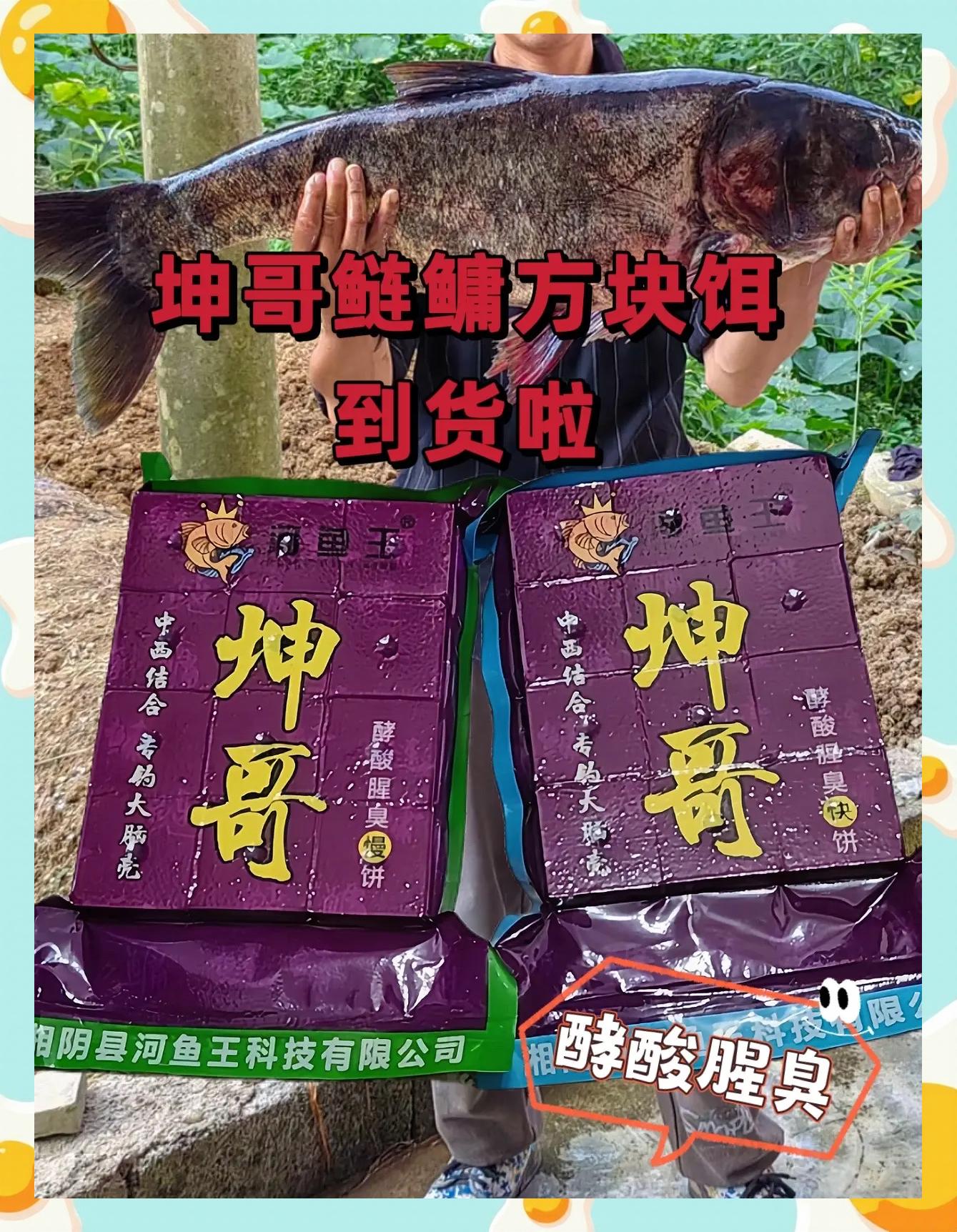 方块饵料钓(方块饵料钓鲢鳙上钩安装)