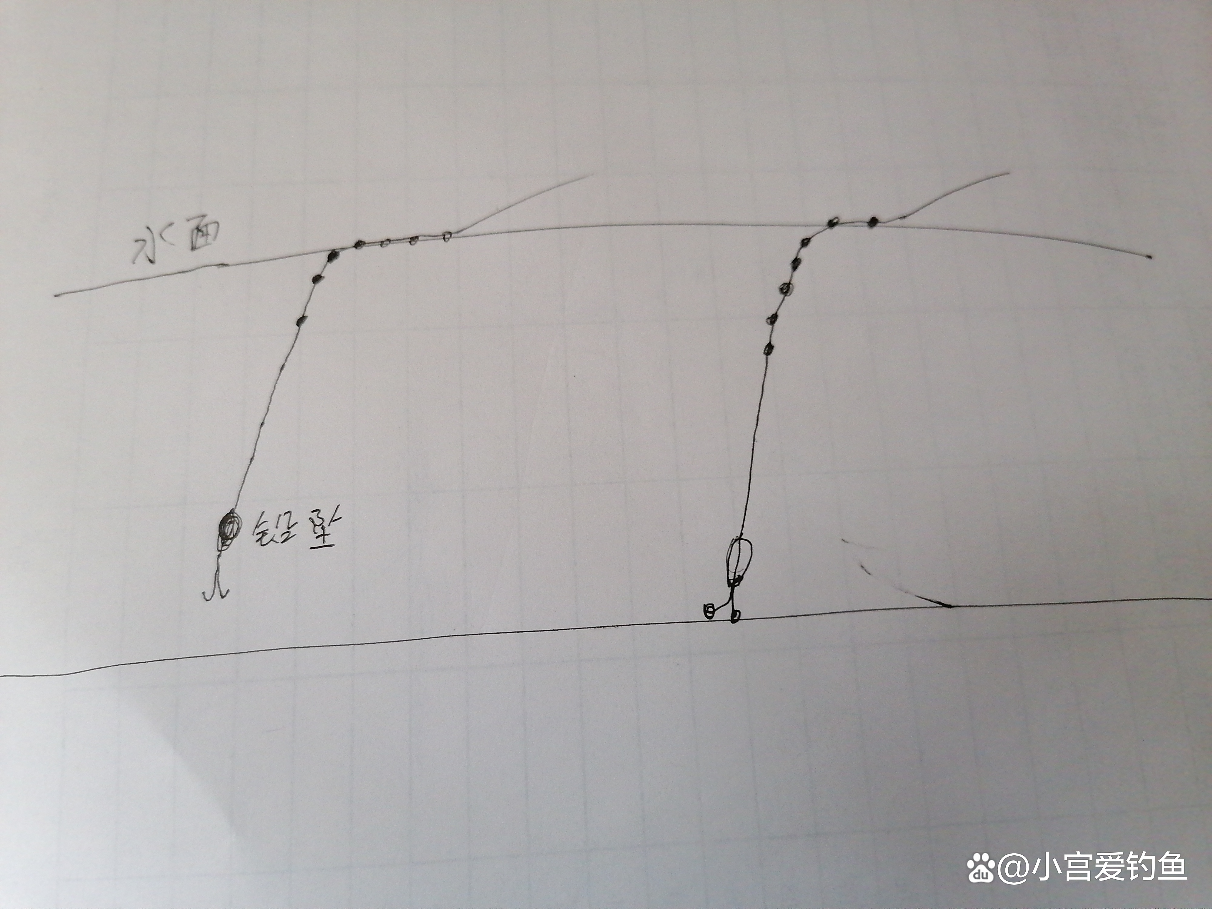 红虫钓大鲫鱼调漂技巧(红虫钓大鲫鱼调漂技巧视频)