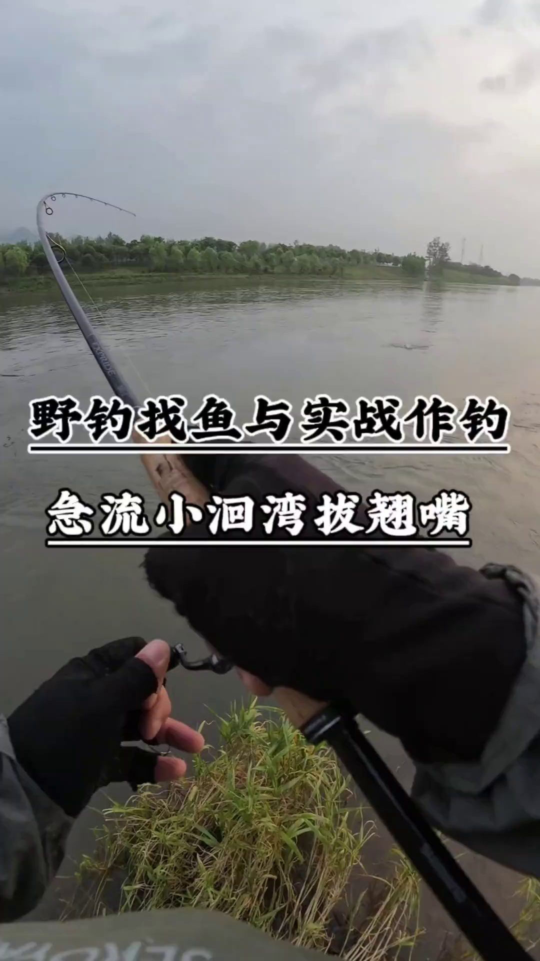 小湾路亚(阿里路亚是什么意思)