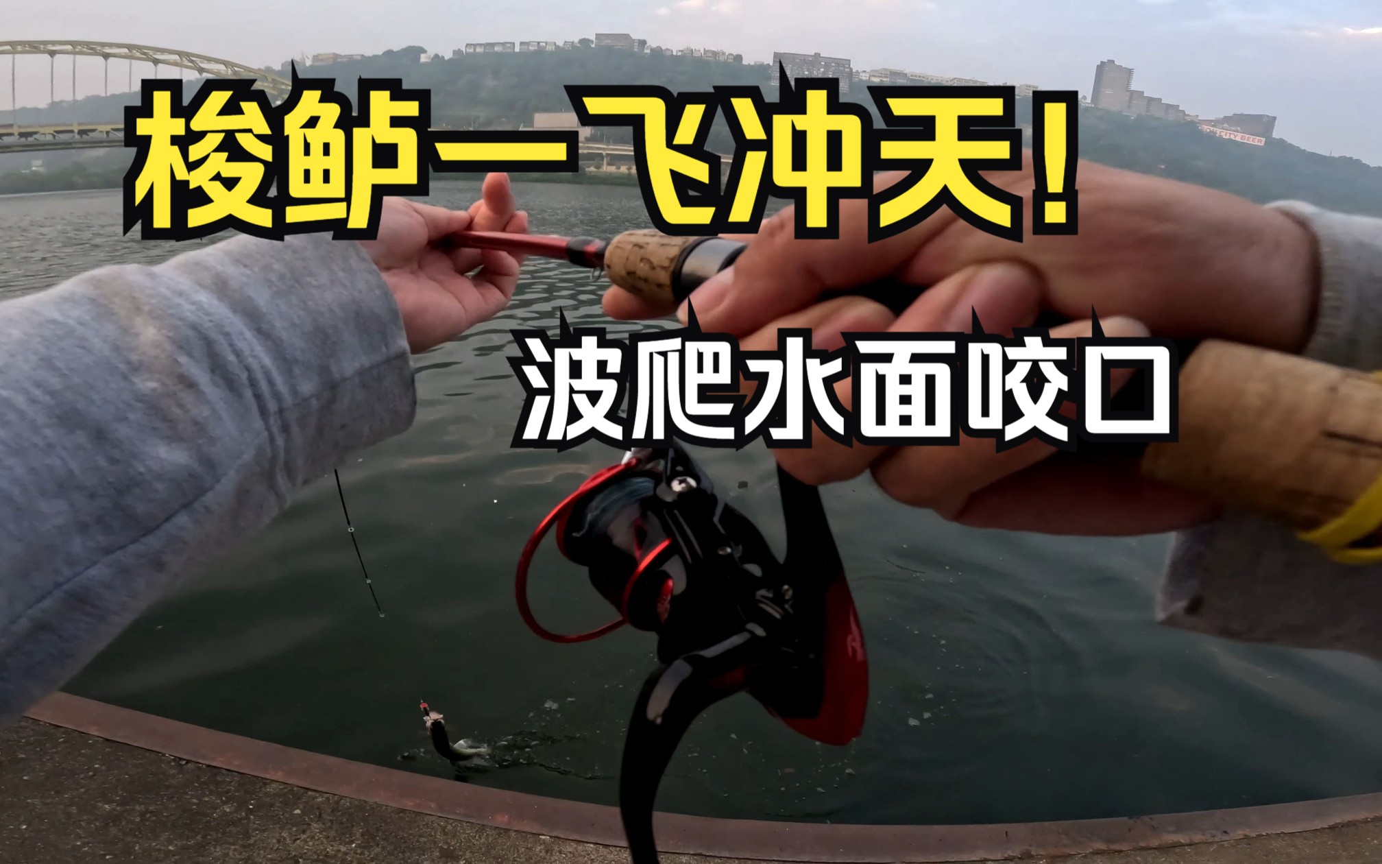 美洲梭鲈路亚技巧(北美梭鲈 多少钱一斤)