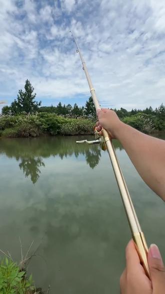 珠海海钓提供鱼竿(珠海钓具)