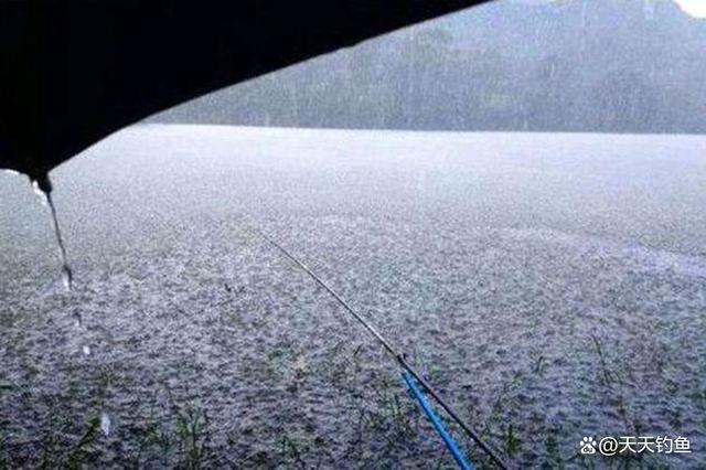夏季阵雨后野钓技巧(夏季雨后钓鱼钓远还是钓近)