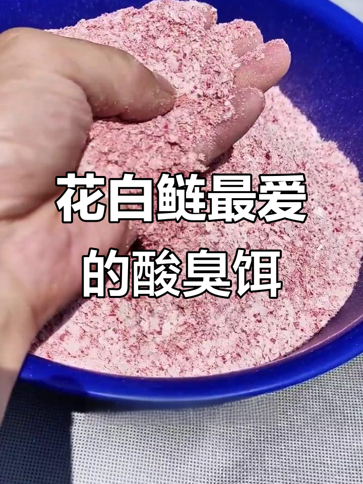 花白鲶饵料(花鲶白鲶区别)