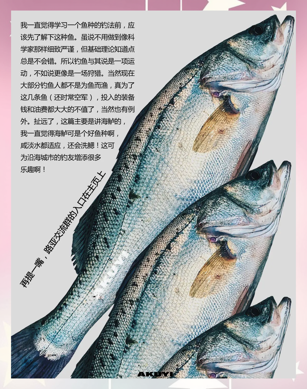 黑坑路亚海鲈技巧(路亚黑坑必备10个技巧)