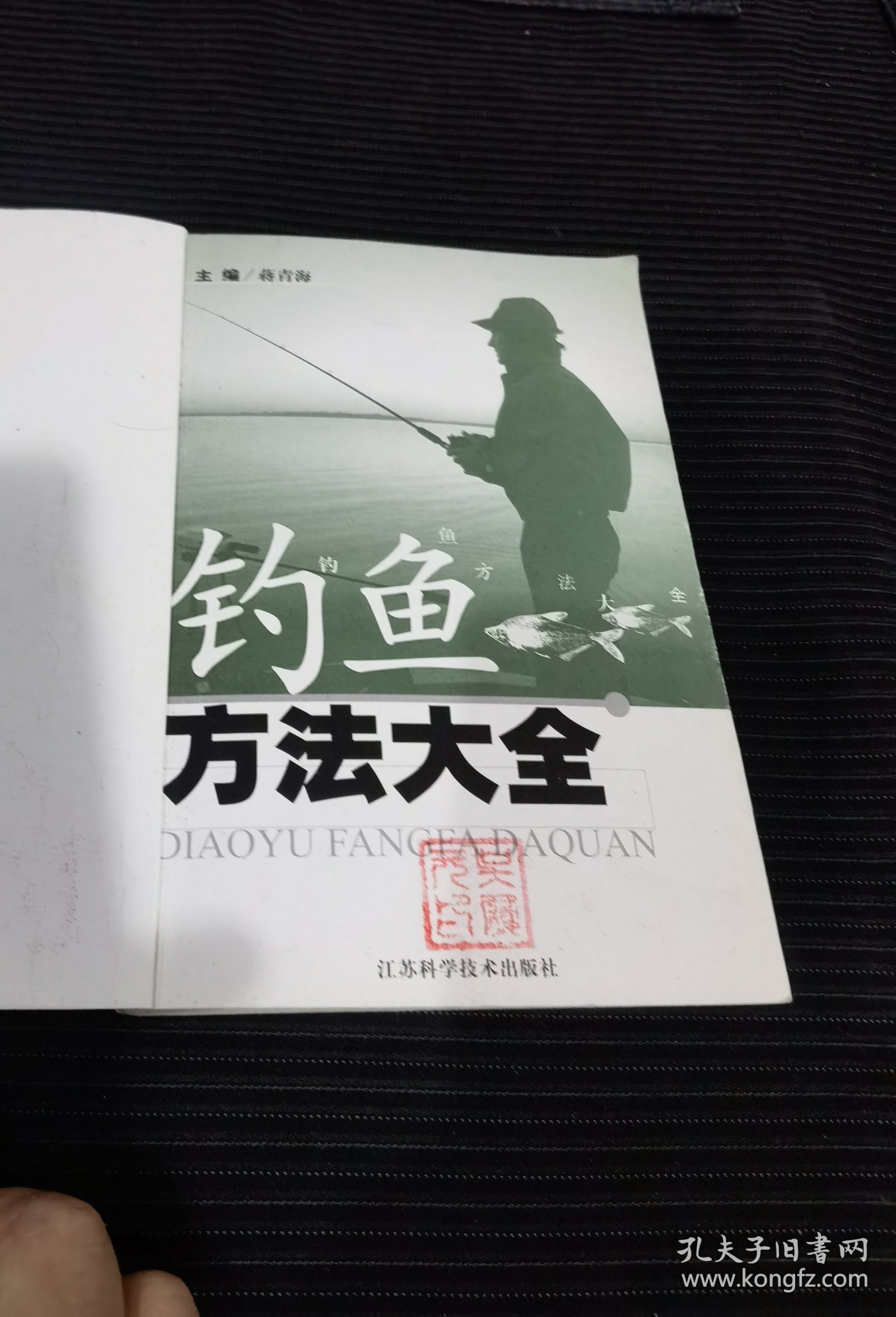 钓鱼技巧网站(钓鱼技巧网站大全)