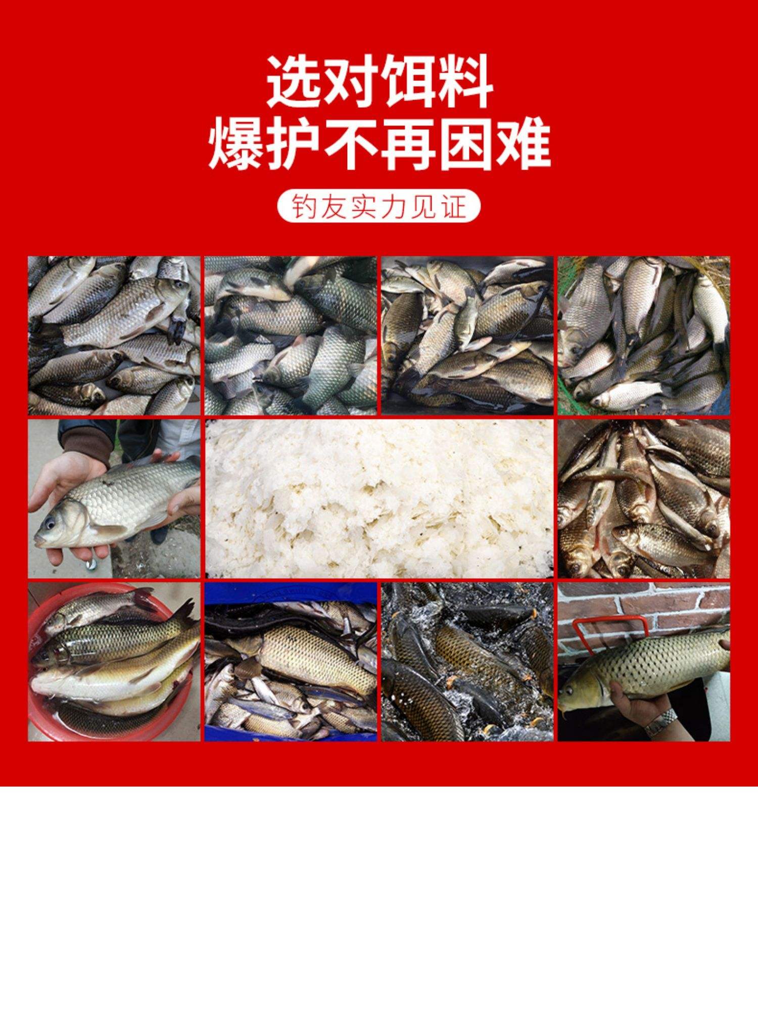 冬季大物饵料(冬天钓大物)