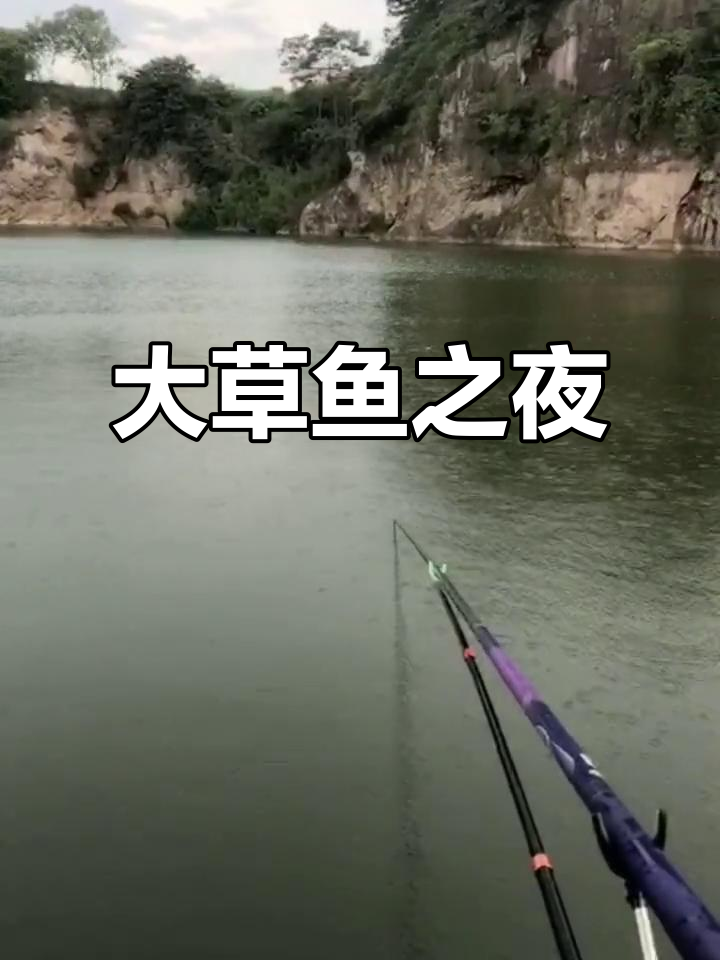 秋季夜钓草鱼技巧(秋季夜钓草鱼技巧和方法图解)