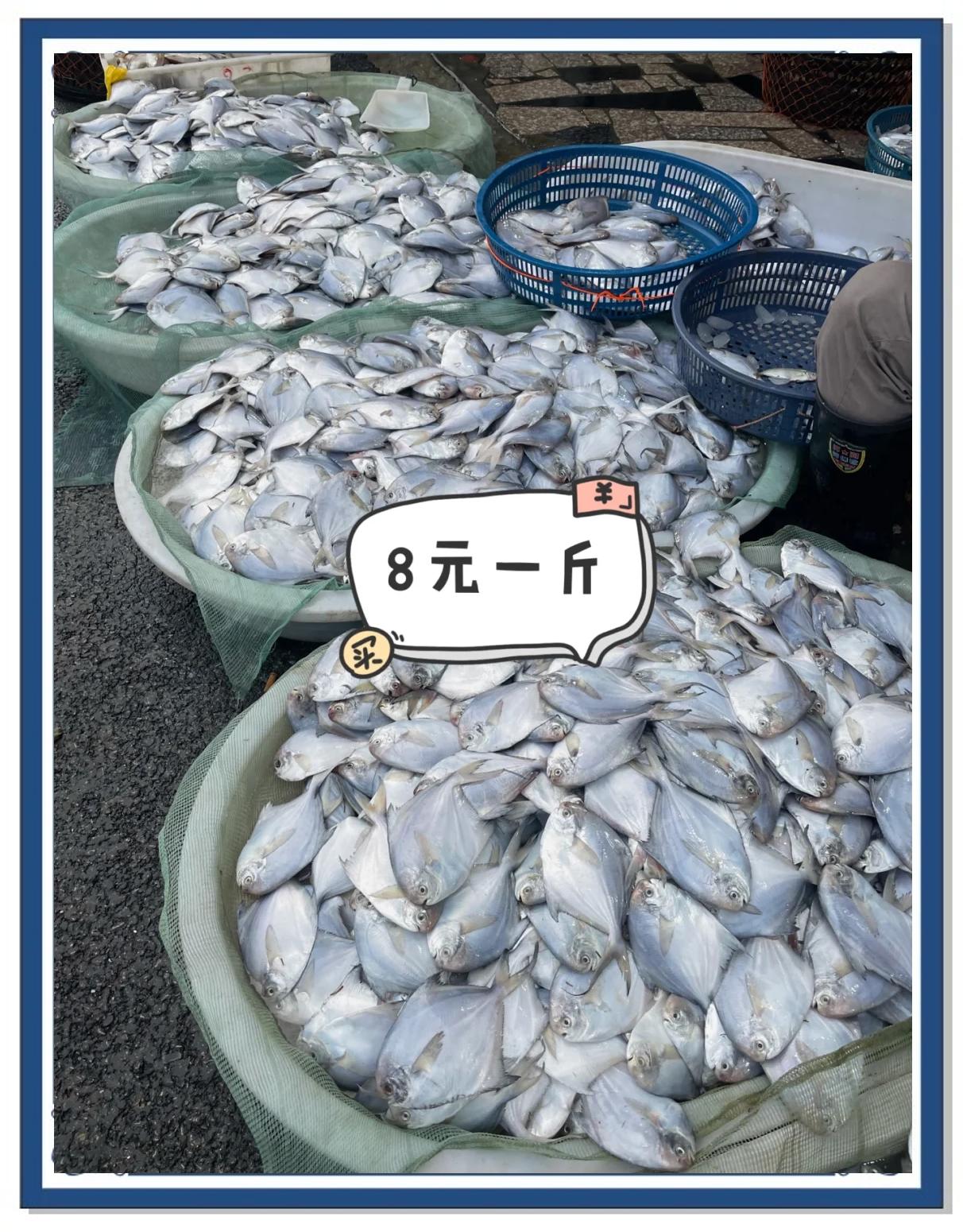 卢潮港海钓(芦潮港海钓)