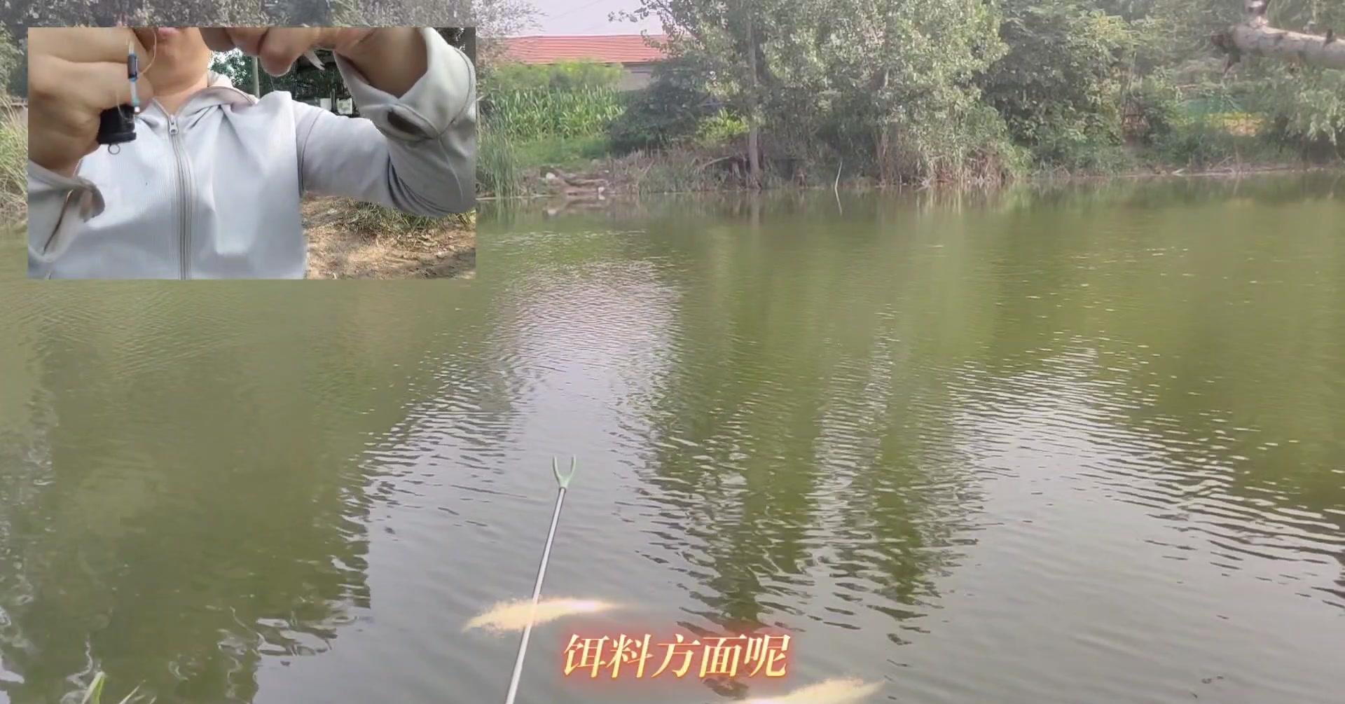 春季库钓综合鱼技巧(春季钓水库)