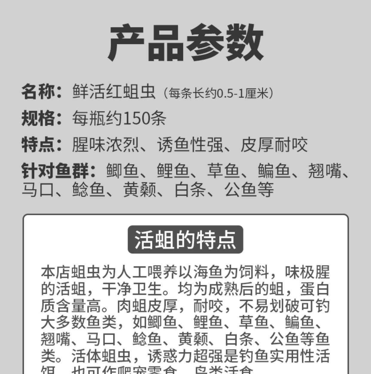 抚顺那家渔具店又蝇蛆(钓鱼蛆虫如何养殖视频)