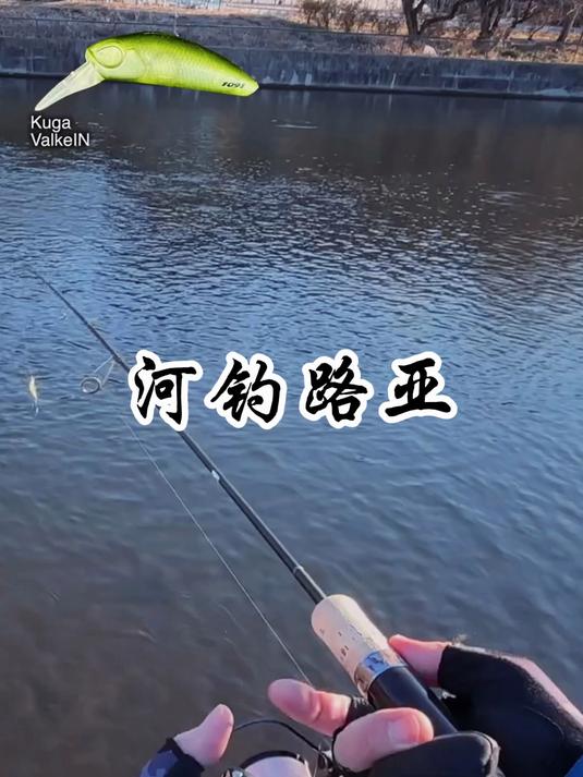 路亚河道钓鱼(河水路亚)