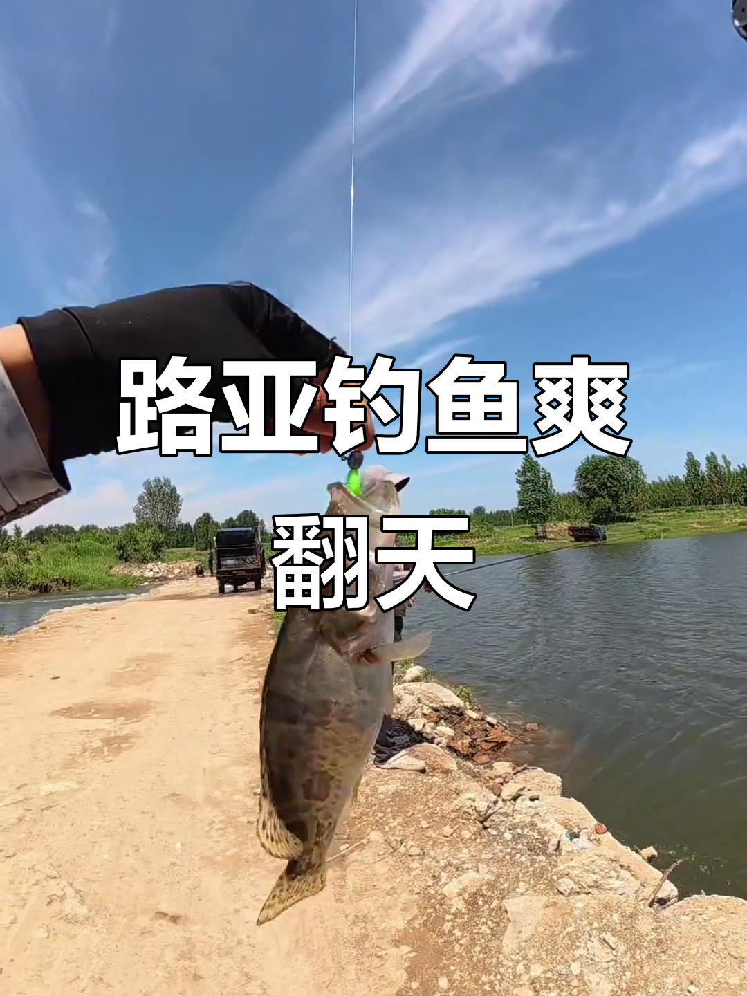 路亚河道钓鱼(河水路亚)