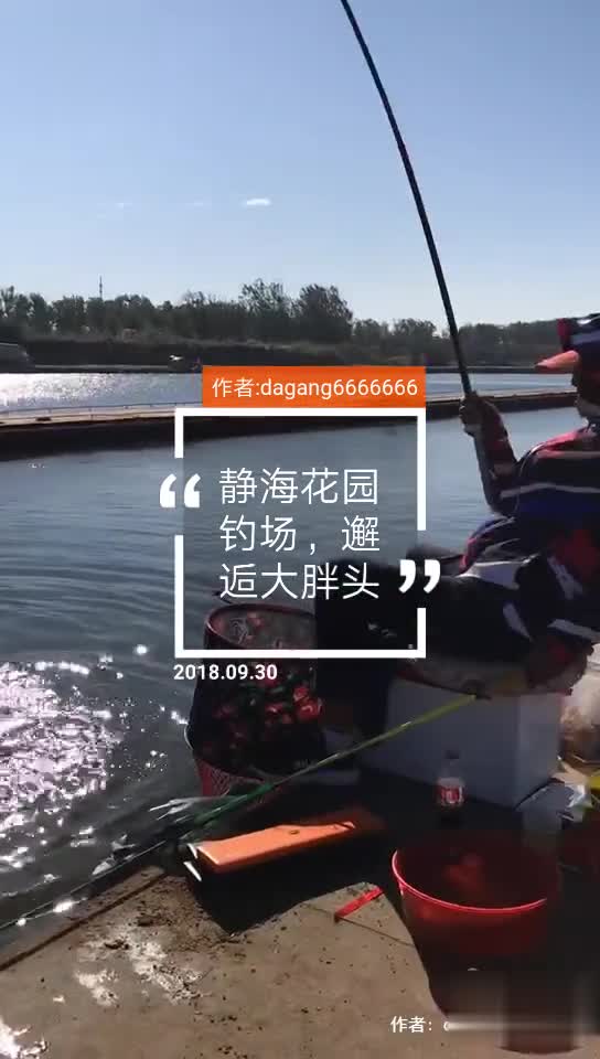 天津静海钓鱼比赛评价(2021年天津钓鱼比赛)