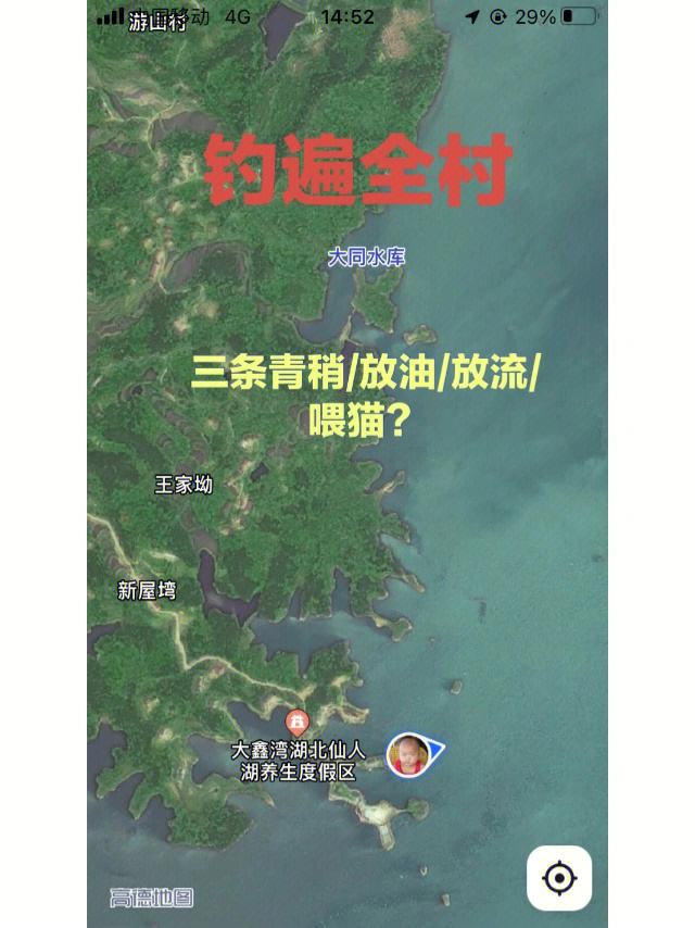 冬季钓喂养塘技巧(冬季钓塘鲺技巧)