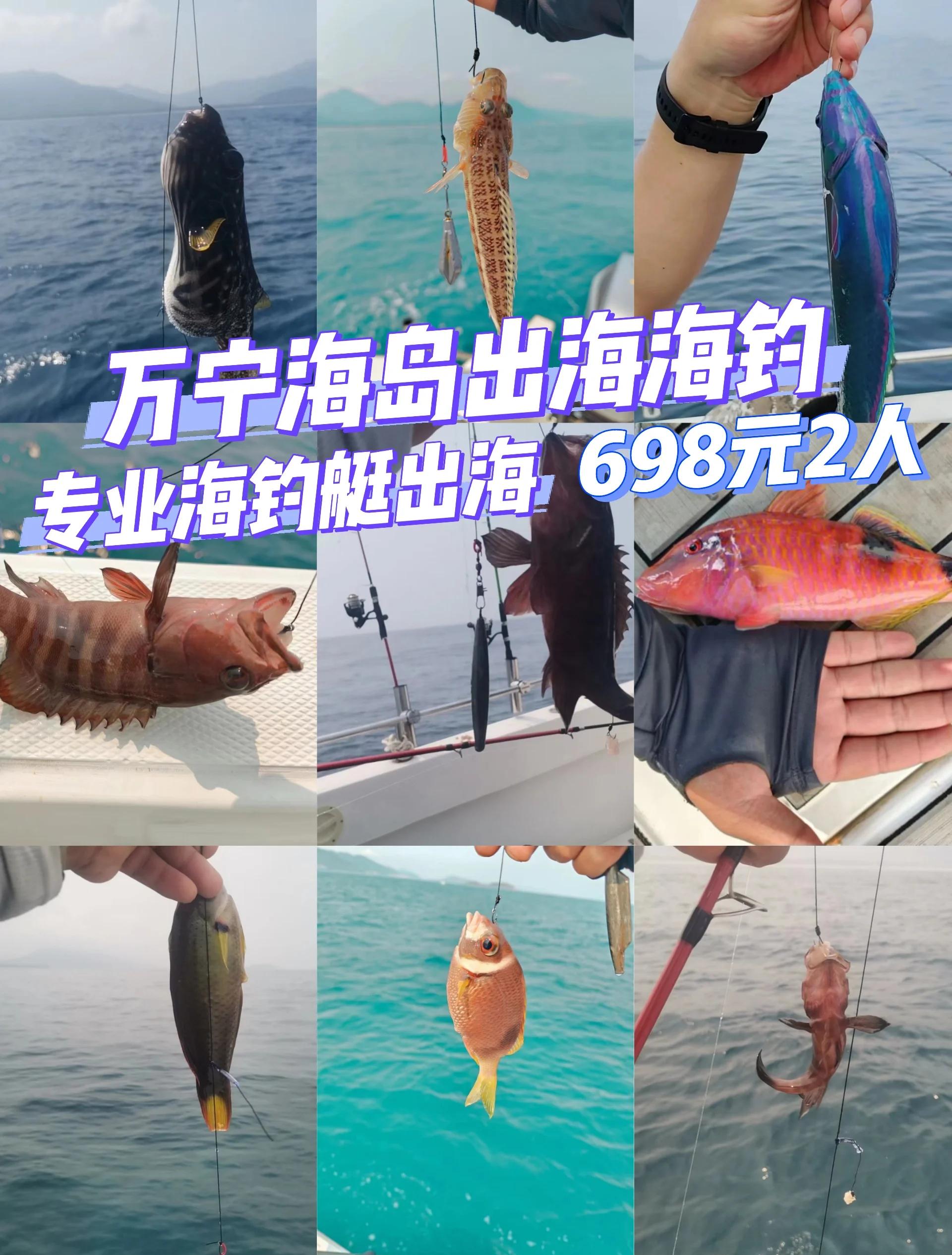 大钦岛海钓攻略(捕鱼赶海海钓类小说)