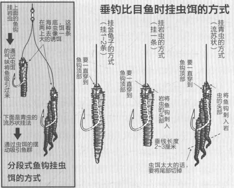 海钓有哪些钓法(海钓有哪些钓法和技巧)