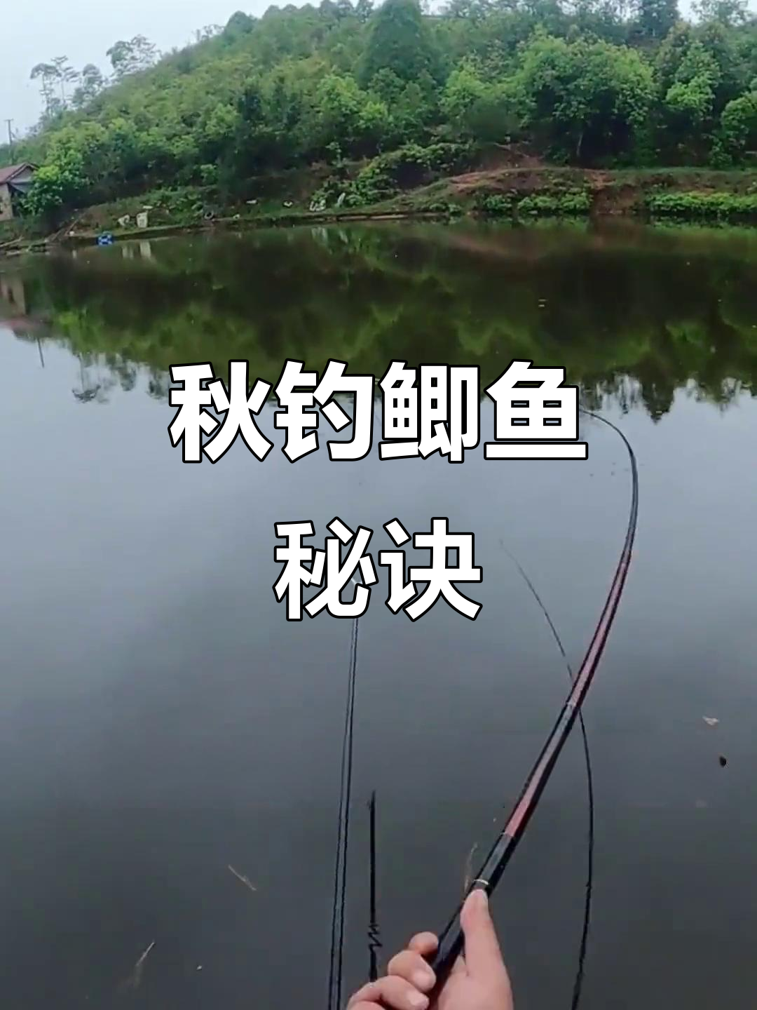 深秋钓鲫鱼必杀技巧(深秋钓鲫鱼钓位的选择)