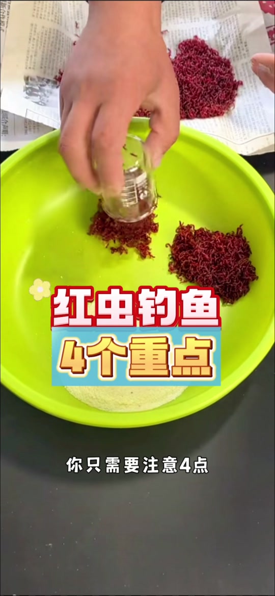 冬天在大棚钓鱼技巧(冬钓大棚怎么取暖)