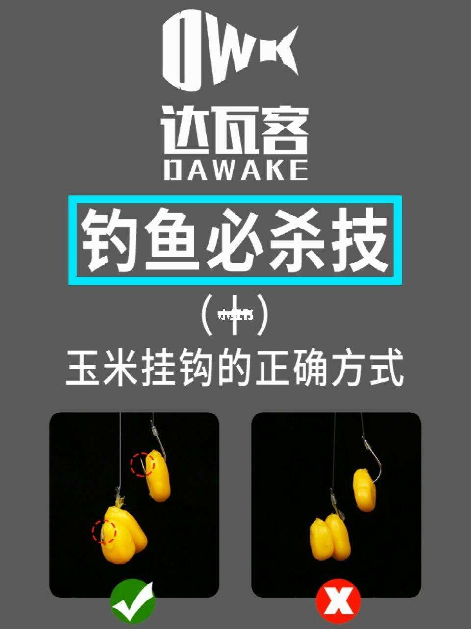 玉米挂钓技巧(玉米挂钓技巧图解)
