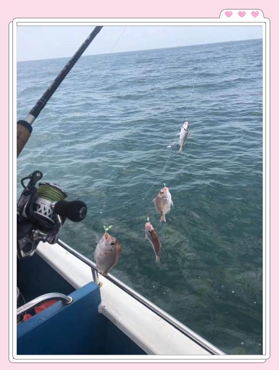 台湾海钓南油(海钓南油是什么意思)