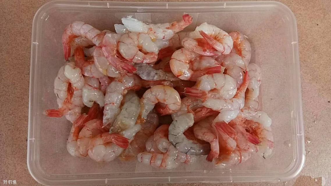 海钓鱼正确保鲜(海钓鱼如何保鲜)