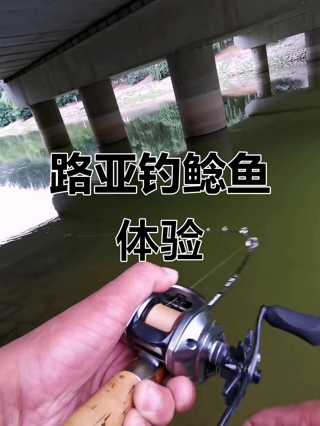 路亚钓大鲶鱼视频(路亚如何钓鲶鱼视频)