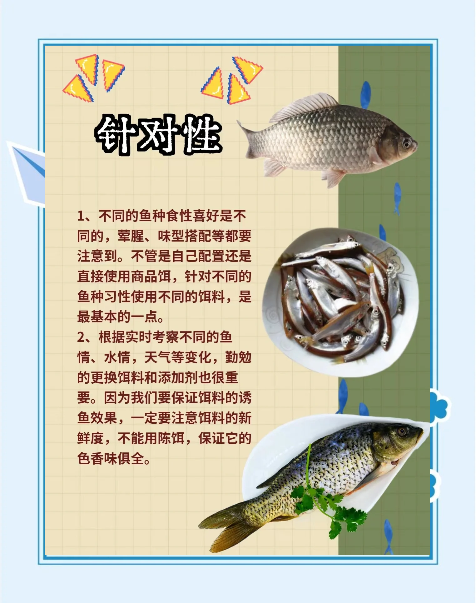 镜面鲤怎么开饵料(镜面鲤怎么处理)
