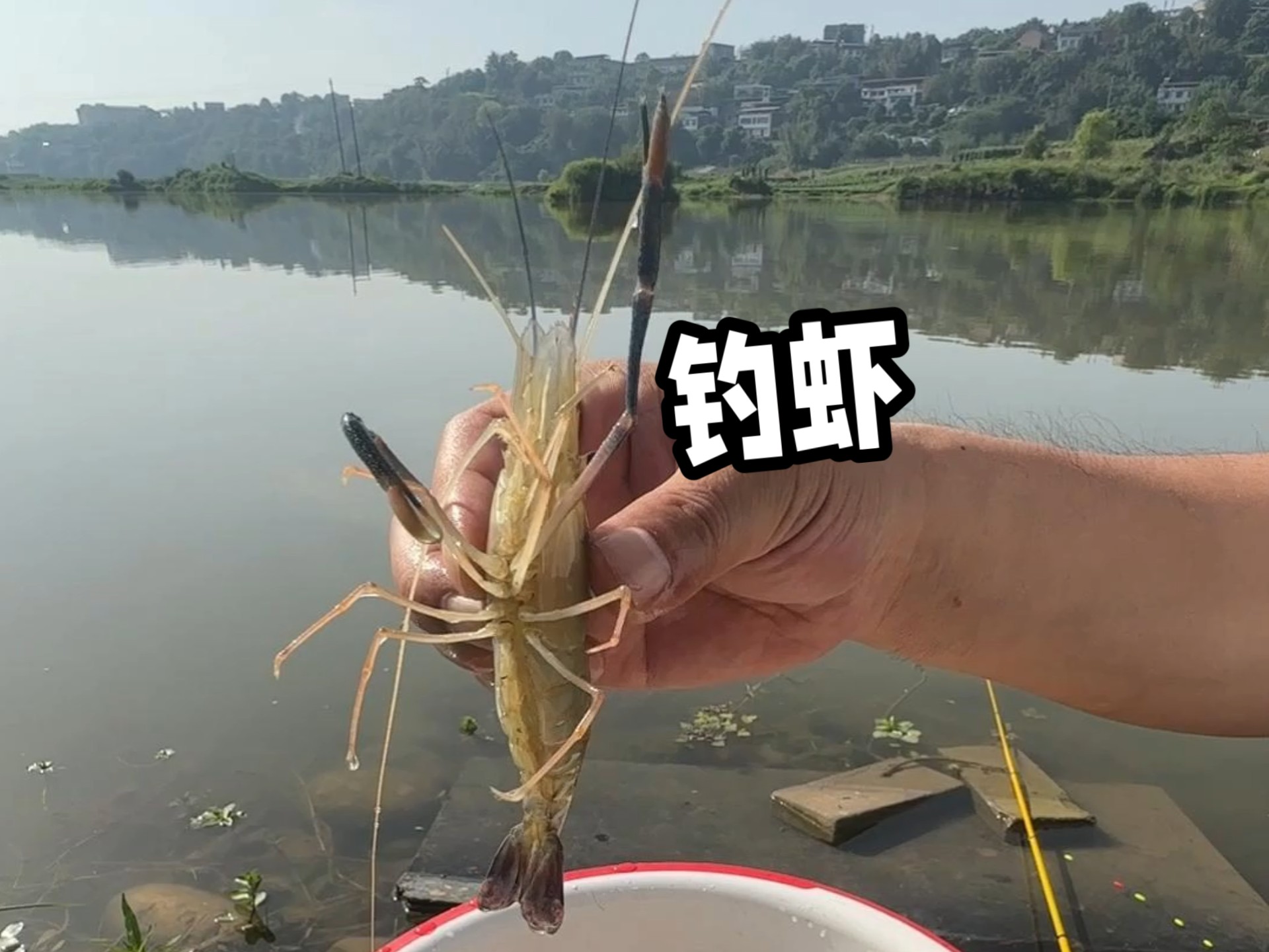 野外钓河虾技巧视频(野河钓虾怎么选位置)