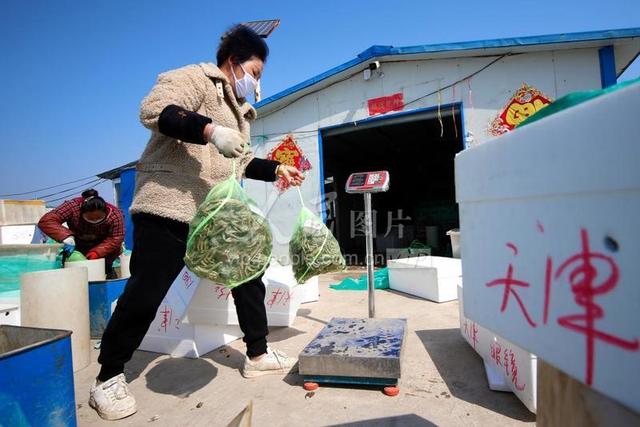 泗洪渔具店(渔具专卖店货源批发)