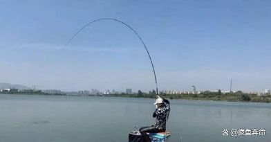 淡水湖钓鱼技巧(淡水垂钓200法)