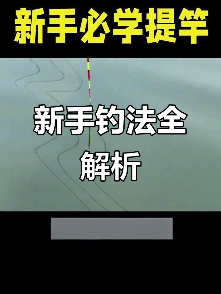 垂钓提竿技巧(钓鱼怎样提竿视频)