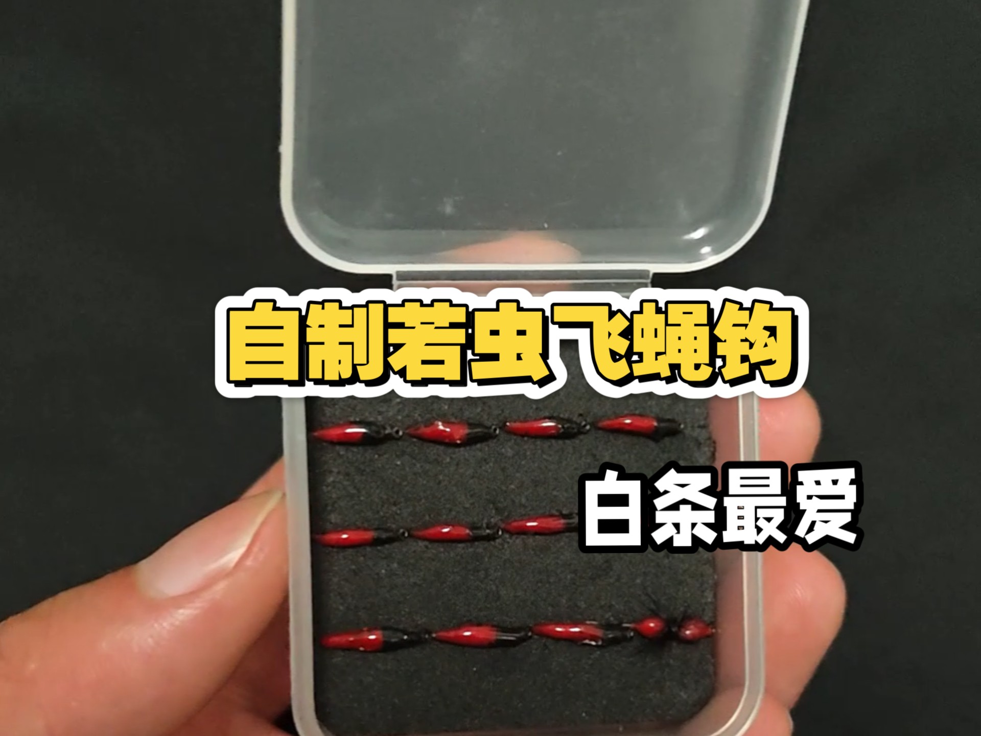 饵料招白条(饵料招白条怎么办)