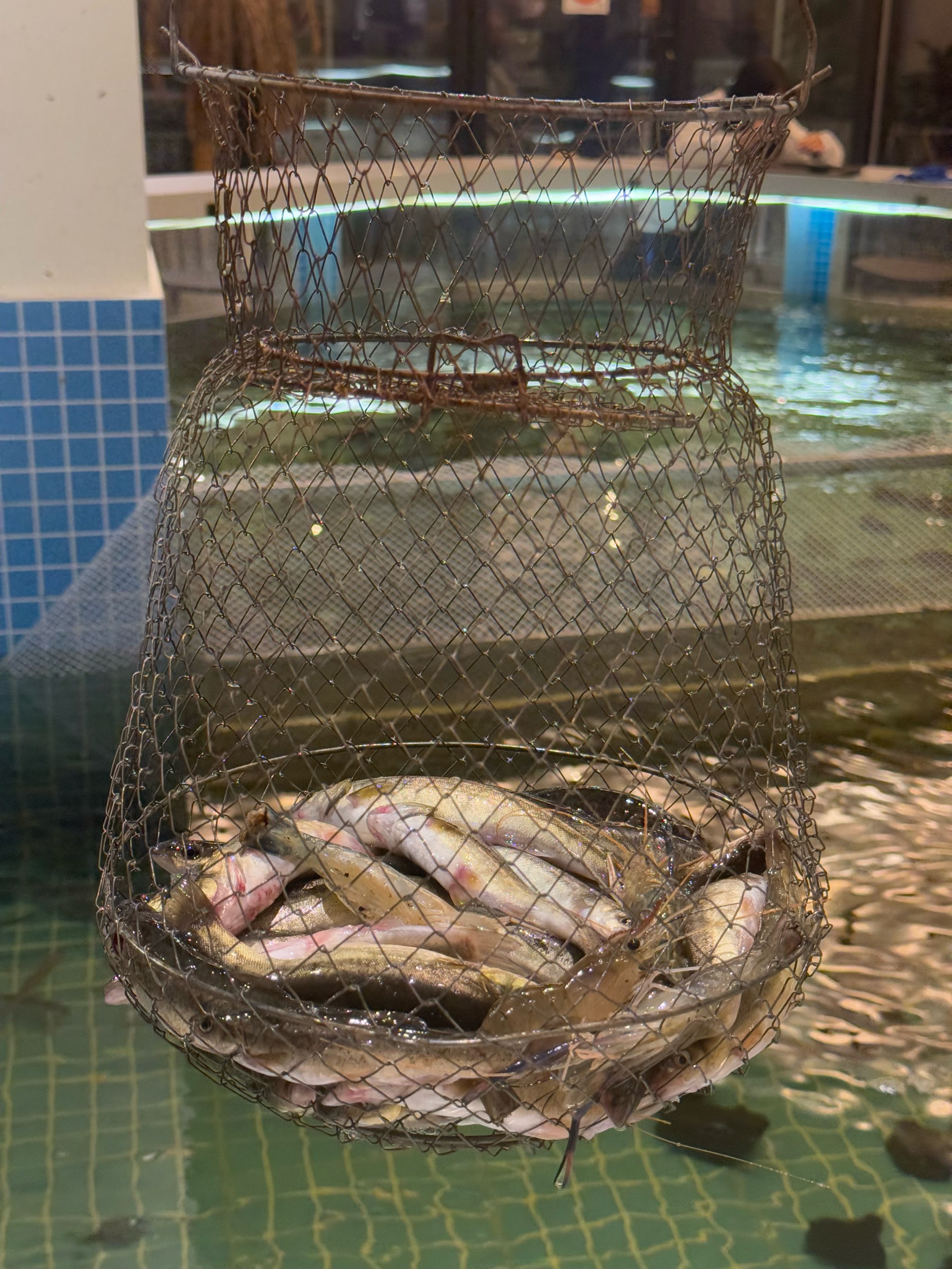 上海钓鱼鱼场(上海钓鱼去处)